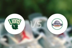 多恩比恩狮子vs施蒂里亚比分预测【2026/03/15】