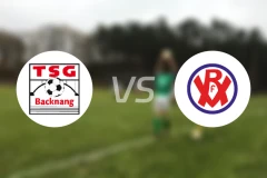 TSG巴克南vsVfR曼海姆比分预测【2025/11/22】