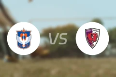 新潟天鹅vs京都不死鸟比分预测【2024/08/12】