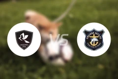 布鲁诺斯喜鹊vs哥连泰1975FC比分预测【2025/11/25】