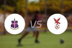 哈姆雷特vs怀特豪克比分预测【2026/01/03】