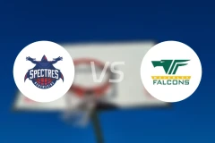 纽纳华丁幽灵女篮vs韦弗利猎鹰女篮比分预测【2026/04/11】