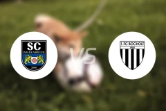 维登贝鲁克vs波卓尔特比分预测【2026/01/31】