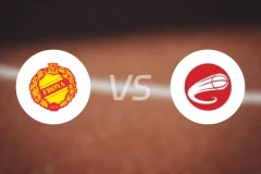 费罗耶vs吉姆勒比分预测【2026/01/28】