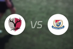 鹿岛鹿角vs横滨水手比分预测【2025/12/06】