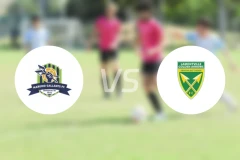 马鲁莫加兰斯vs金箭比分结果战报【2026/03/14】