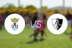 纳塞拉vs阿尔法罗比分预测【2025/11/17】