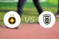 布加勒斯特星vs塞萨洛尼基录像回放【2025/02/21】