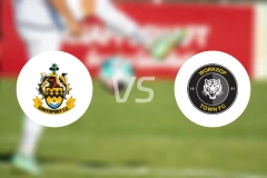 南港队vs沃克索谱镇比分预测【2025/12/20】