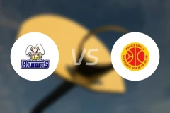 斯文堡格vs贺森斯比分预测【2025/12/19】