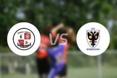 克劳利vsAFC温布尔登比分预测【2024/10/09】