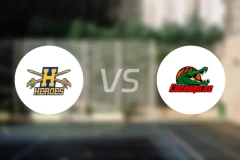 猎鹰英雄vs德里洛斯比分预测【2026/03/19】