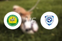 卡内米勇士vs巴拉乌比分预测【2025/12/07】