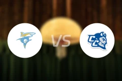 长岛大学vs中康涅狄格州立大学比分预测【2026/02/01】