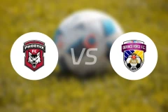 FC凤凰vs国防部队比分预测【2025/11/23】