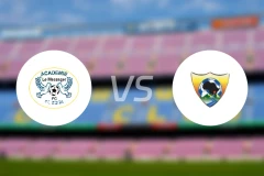 弗兰博东vs皇家维锡昂比分预测【2025/11/13】