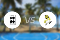 希别尼克vs杜布拉瓦比分预测【2026/01/25】