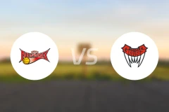 三远新凤凰vs富山松鸡比分预测【2026/04/22】