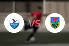 佛利奴vsASD塞拉韦扎足球比分预测【2025/12/14】