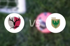 鹿岛鹿角vs东京绿茵比分预测【2026/03/07】