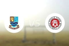 法纳姆城vs普尔城比分预测【2025/11/19】