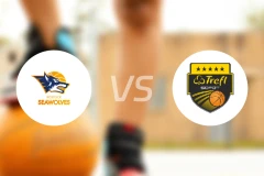 罗斯托克vs特里弗索波特比分预测【2025/12/11】