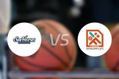 三河海马vs广岛蜻蜓比分结果战报【2026/04/08】