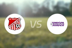 维也纳利尼恩vs莫尔比分预测【2026/04/11】