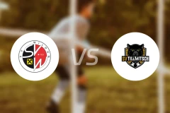 SV威尔登vsSV蒂尔米奇比分预测【2026/04/11】