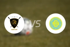 勒鲁莫狮子vs卡斯里克之星比分预测【2026/03/14】