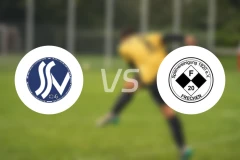 森博格SVvsSpVg弗雷兴20比分预测【2026/02/22】