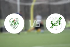 阿弗里基vs阿尔艾赫代尔比分预测【2026/01/29】