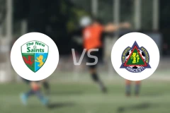 新圣徒vs佩特罗古比分预测【2024/08/14】