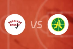 哈丁格vs艾维克比分预测【2025/12/11】