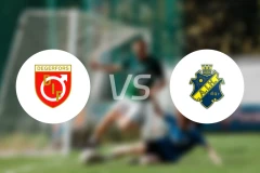 代格福什vs索尔纳比分预测【2026/04/24】