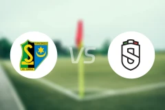 斯亚卡vs斯维德尼赞卡比分预测【2025/11/29】