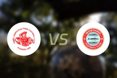 亨默亨普斯特德vs沃森比分预测【2026/02/14】