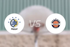 特拉维夫马卡比vs比内海尔兹利亚比分预测【2026/02/20】