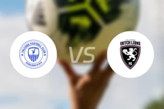 猎鹰vs冈比亚荷兰狮比分预测【2026/03/25】