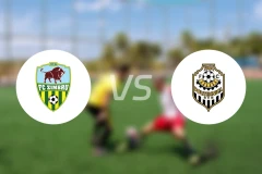 基希讷乌野牛vs波利塔尼卡比分预测【2025/11/30】