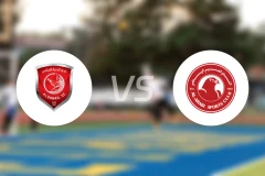 杜海勒vs阿拉比SC比分预测【2025/10/20】