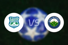 布尔萨耶尔德勒姆士邦vs尼路费比分预测【2026/03/01】