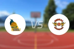 莫利纳vs比斯巴尔巴斯克比分预测【2026/02/08】