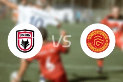 陕西联合vs广西平果比分结果战报【2025/11/08】