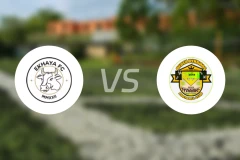 埃卡亚vs德扎迪纳摩比分预测【2025/11/01】