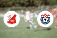 伊格曼vs希罗基布里耶格比分预测【2024/08/23】