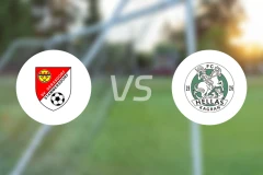 SV格拉斯多夫vs海拉斯卡根比分预测【2026/03/28】