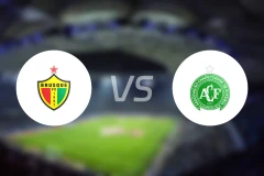 布鲁斯基vs沙佩科恩斯比分预测【2026/02/15】