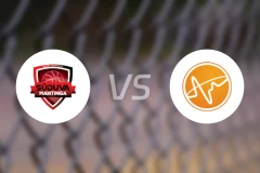 苏度瓦曼廷加vs维尼亚斯斯特卡斯比分预测【2025/11/22】