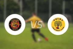 内湖公马vs图洛伊比分预测【2026/03/21】